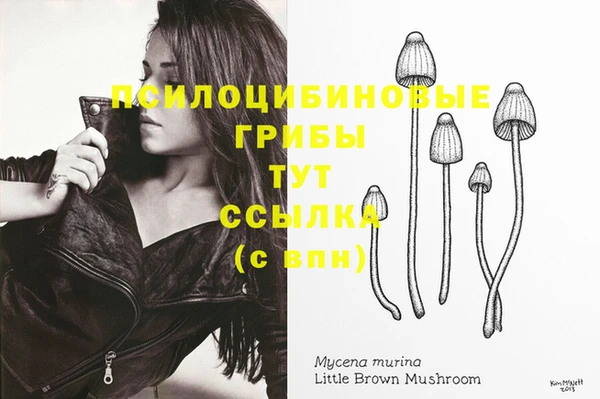 а пвп мука Магас