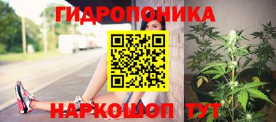 Альфа ПВП Кимры