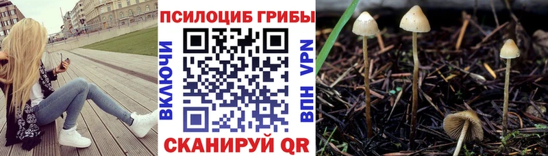 Галлюциногенные грибы MAGIC MUSHROOMS  Купить закладки  Новодвинск 