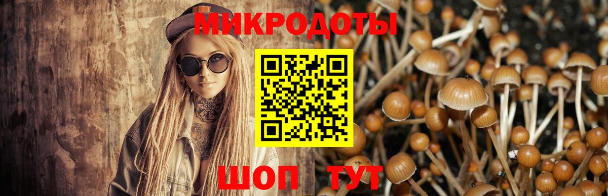 Псилоцибиновые грибы мицелий  Вход с VPN  Новодвинск 