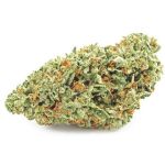 Шишки OG Kush  (Гидропоника, бошки) VHQ в Новодвинске